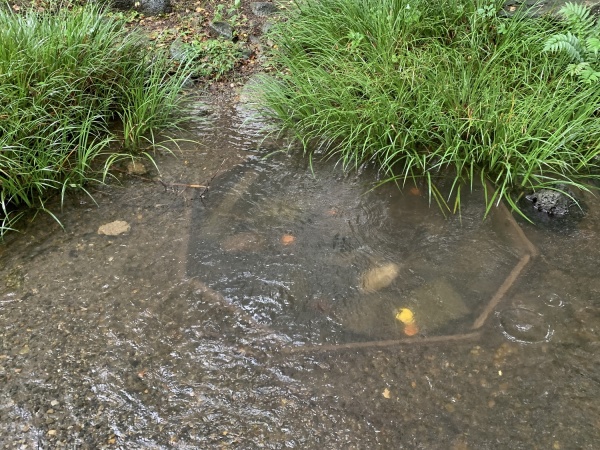 濯川の水源の画像