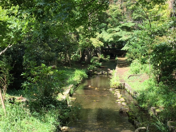 濯川9月