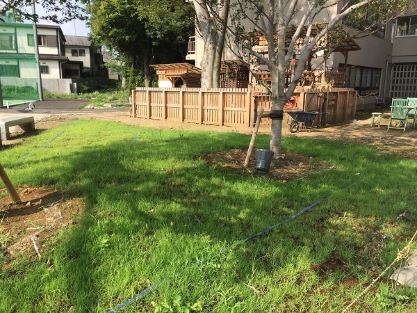 天然芝とやぎ小屋