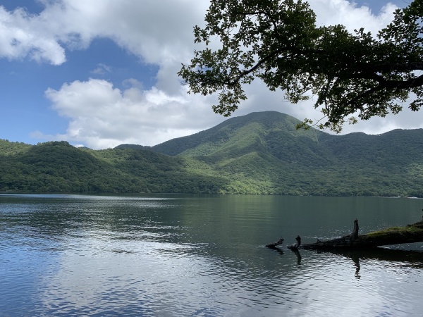 大沼の画像