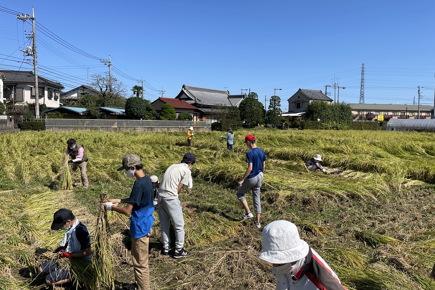 110総合的な学習